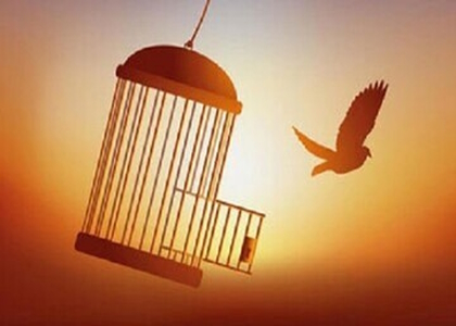 پایگاه خبری صدای زنجان