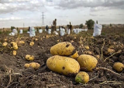 خبرگزاری صدای زنجان