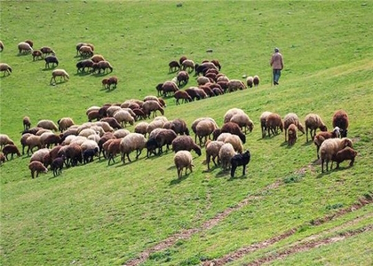 پایگاه خبری صدای زنجان