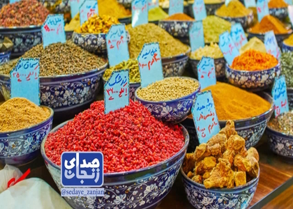 پایگاه خبری صدای زنجان