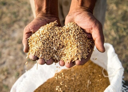 خبرگزاری صدای زنجان