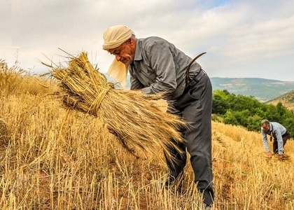 پایگاه خبری صدای زنجان