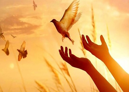 پایگاه خبری صدای زنجان