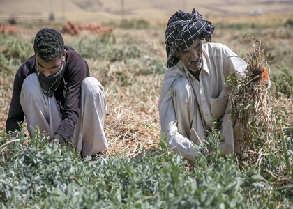 پایگاه خبری صدای زنجان