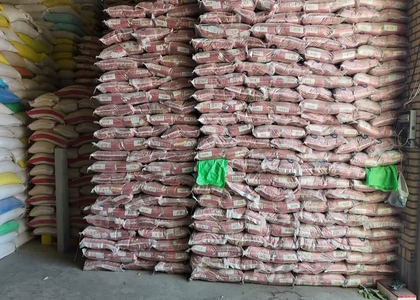 پایگاه خبری صدای زنجان