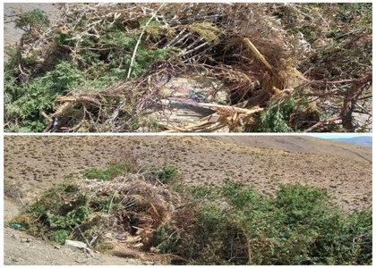 پایگاه خبری صدای زنجان