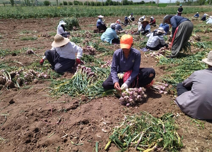پایگاه خبری صدای زنجان