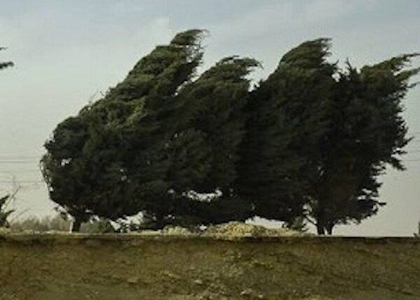پایگاه خبری صدای زنجان