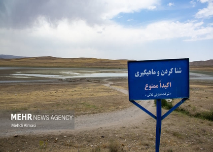 پایگاه خبری صدای زنجان
