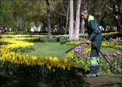 پایگاه خبری صدای زنجان