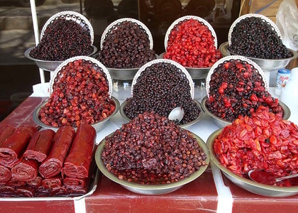 پایگاه خبری صدای زنجان