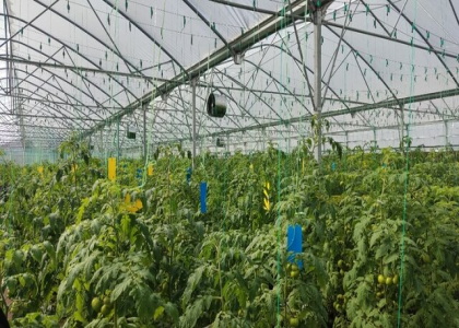 پایگاه خبری صدای زنجان