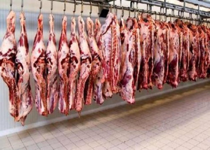 خبرگزاری صدای زنجان