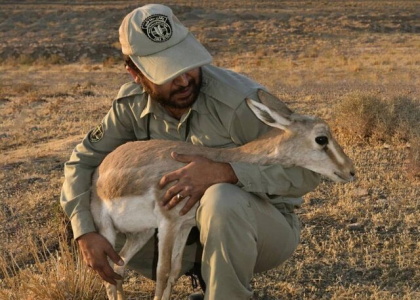 خبرگزاری صدای زنجان
