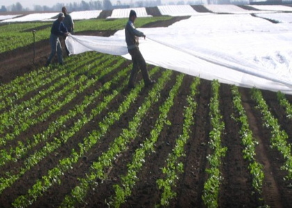 خبرگزاری صدای زنجان