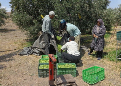 پایگاه خبری صدای زنجان