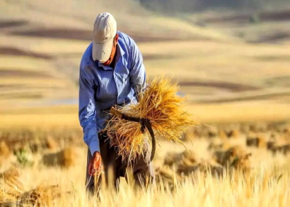 پایگاه خبری صدای زنجان
