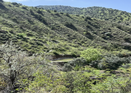 پایگاه خبری صدای زنجان