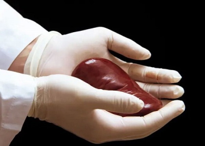 پایگاه خبری تحلیلی صدای زنجان