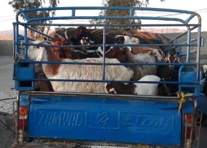 پایگاه خبری تحلیلی صدای زنجان