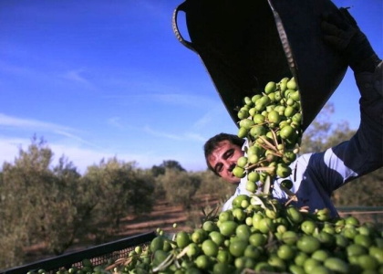 پایگاه خبری تحلیلی صدای زنجان