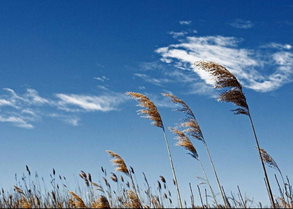 پایگاه خبری تحلیلی صدای زنجان