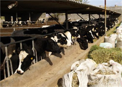 پایگاه خبری تحلیلی صدای زنجان