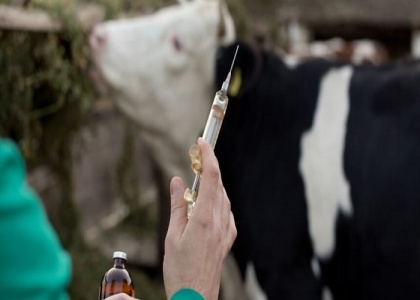 پایگاه خبری تحلیلی صدای زنجان