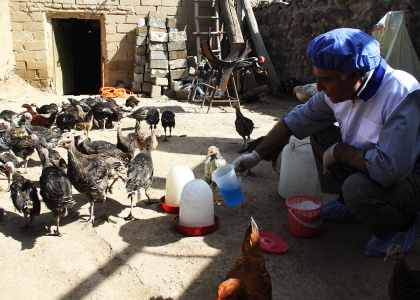 پایگاه خبری صدای زنجان