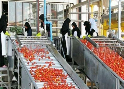 پایگاه خبری صدای زنجان