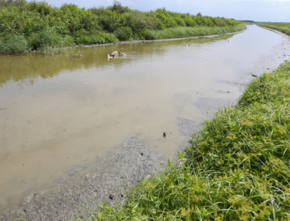 پایگاه خبری صدای زنجان