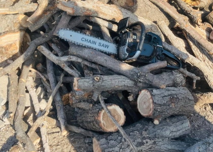 پایگاه خبری صدای زنجان