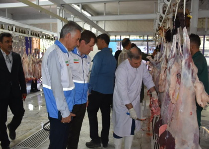 پایگاه خبری صدای زنجان