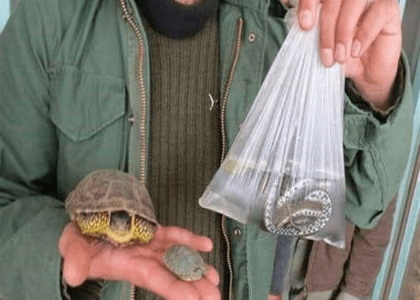 پایگاه خبری تحلیلی صدای زنجان