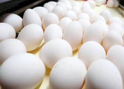 خبرگزاری صدای زنجان