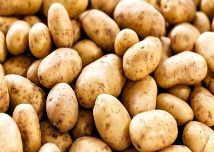 خبرگزاری صدای زنجان