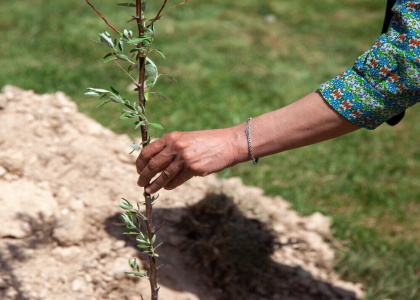 خبرگزاری صدای زنجان