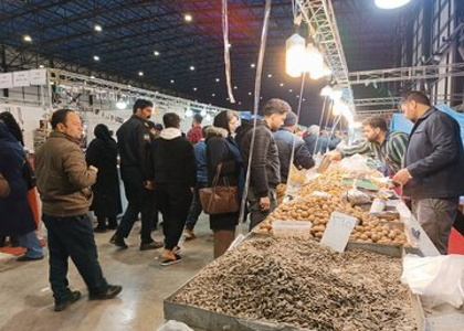 خبرگزاری صدای زنجان