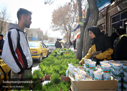 پایگاه خبری صدای زنجان