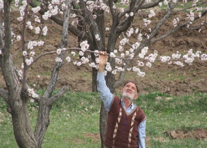 خبرگزاری صدای زنجان
