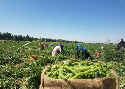 خبرگزاری صدای زنجان