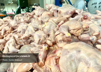پایگاه خبری تحلیلی صدای زنجان