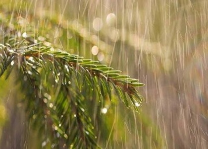 خبرگزاری صدای زنجان