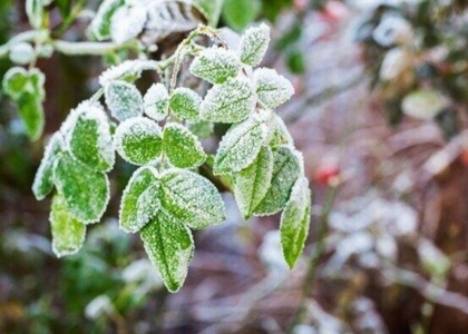 پایگاه خبری تحلیلی صدای زنجان