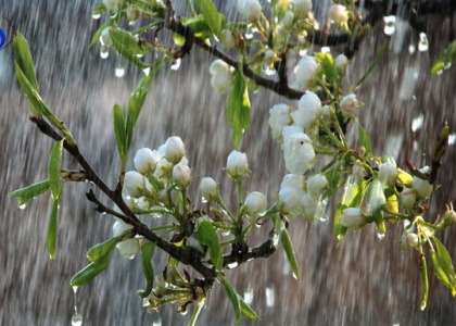 خبرگزاری صدای زنجان