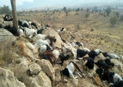 پایگاه خبری تحلیلی صدای زنجان