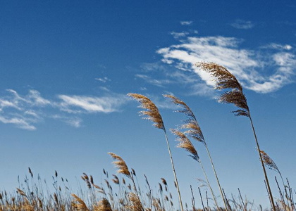پایگاه خبری تحلیلی صدای زنجان