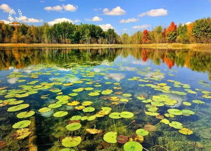 خبرگزاری صدای زنجان