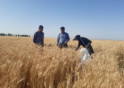 پایگاه خبری صدای زنجان