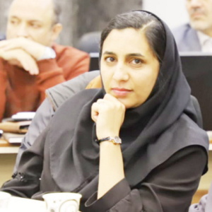 پایگاه خبری صدای زنجان